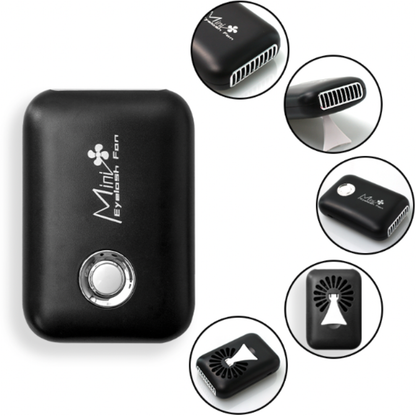 lashfan-black-8