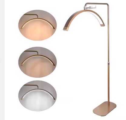 Open Box Gold LED Half Moon Beauty Floor Lamp